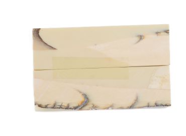 Manche pulpe d'ivoire de mammouth stabilisé résine beige | Fossile rare coutellerie | Mercorne 2