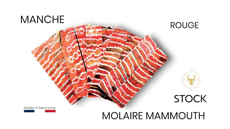 MERCORNE Manches de Molaire de Mammouth stabilisé - vert