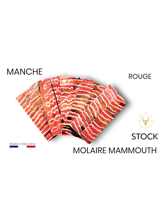 MERCORNE Griff von Mammut Backenzahn stabilisiert - grün