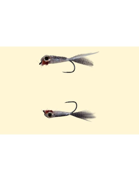 Echter Fischpilz - Französische Inklusion