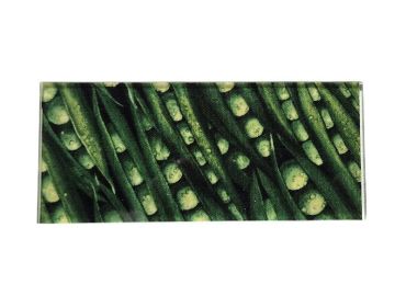 Plaque inclusion tissus petit pois - fond champagne