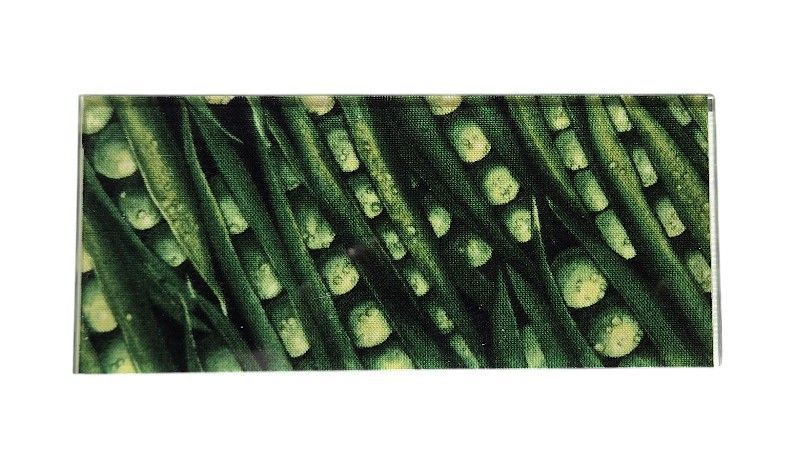 Plaque inclusion tissus petit pois - fond champagne