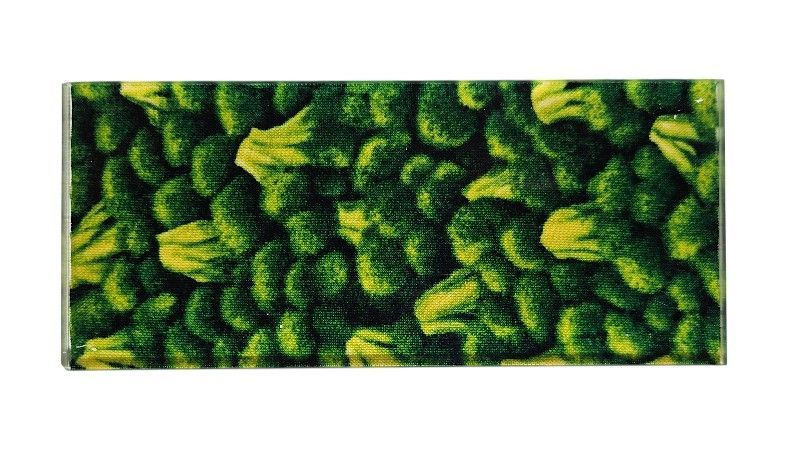 Plaque inclusion tissus choux - fond champagne