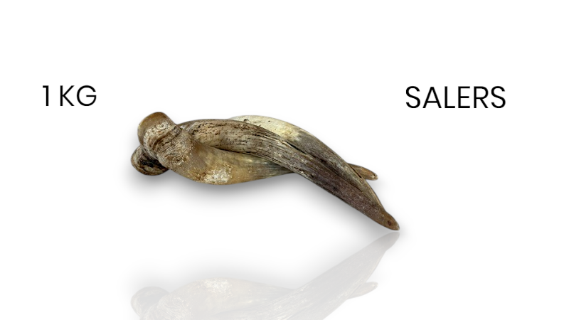 Whole Cow Horn - 1kg