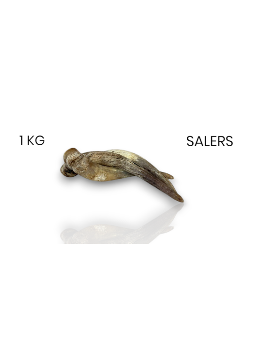 Cuerno de vaca entero - 1kg