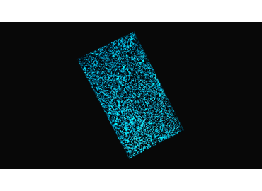 Phosphoreszierendes Glitzer-Carbon – Innovatives Dekoratives Material | Mercorne.fr 2