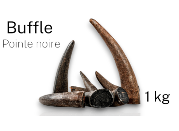 Lot de 1kg de pointe noire de Buffle