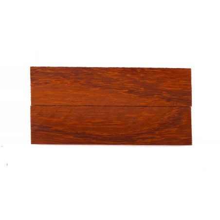 26050156