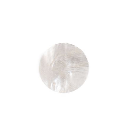 26030381