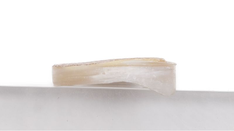 Pion nacre blanche épais