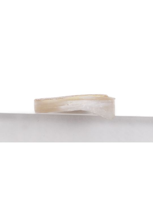 Pion nacre blanche épais