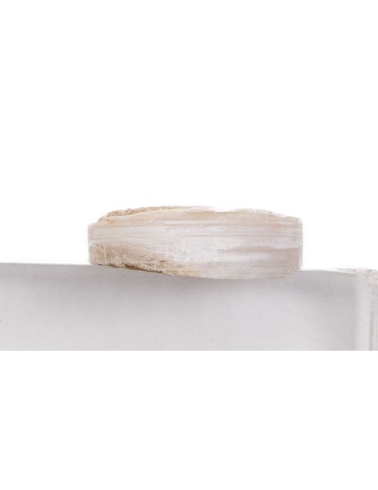 Pion nacre blanche épais