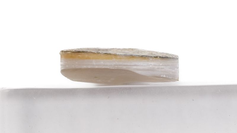 Pion nacre blanche épais