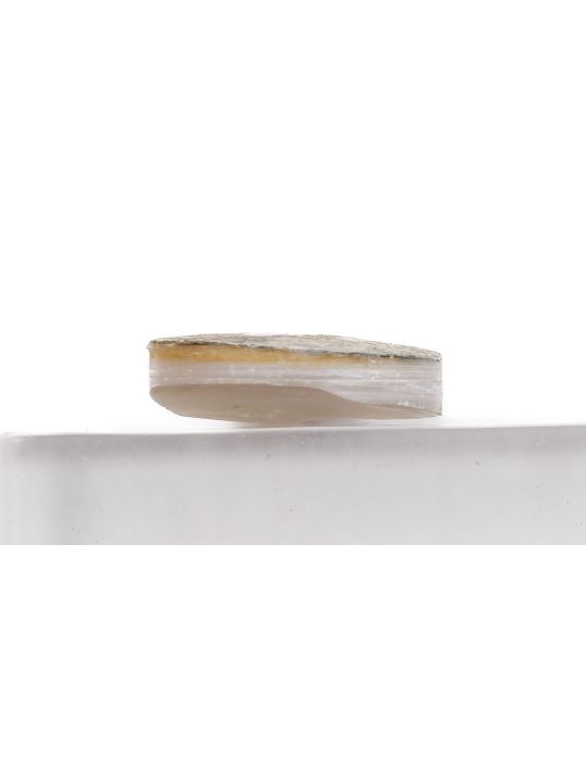 Pion nacre blanche épais