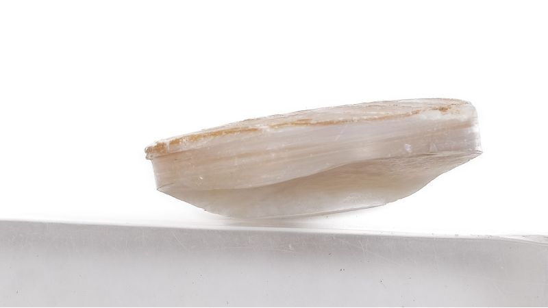 Pion nacre blanche épais