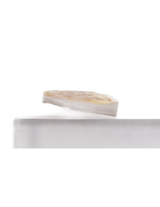 Pion nacre blanche épais