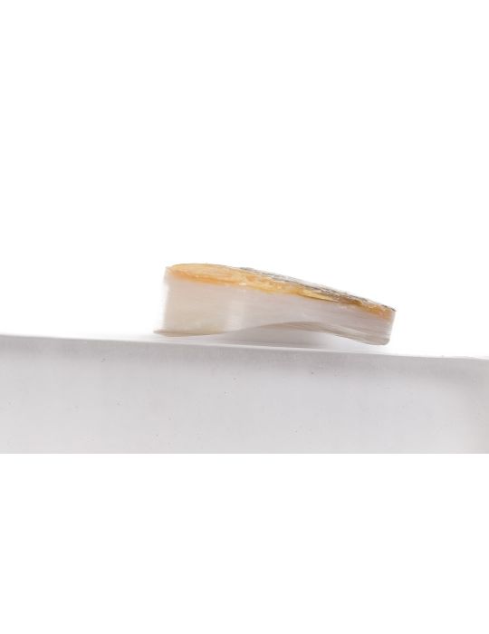 Pion nacre blanche