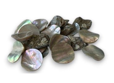 Abalone counters 2