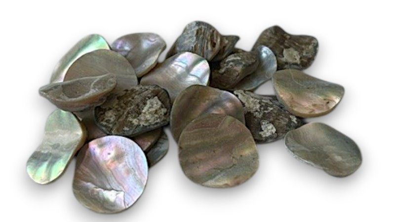 Pions d'Abalone