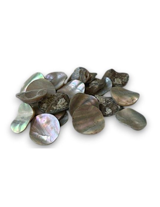 Pions d'Abalone