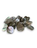 Pions d'Abalone