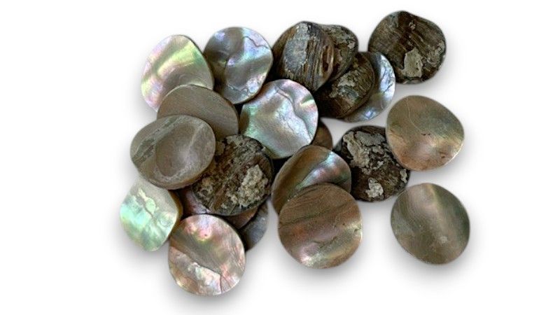 Abalone counters