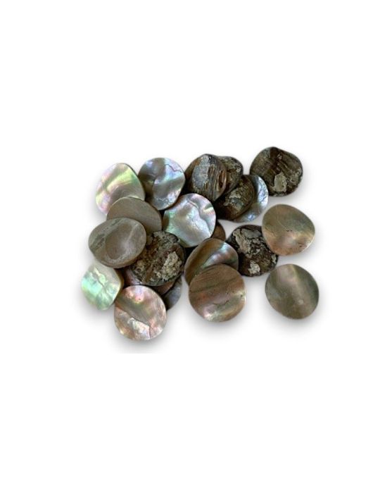 Banchi di Abalone