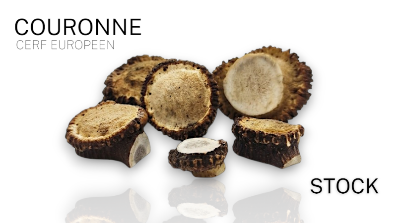 Corona in corno di cervo europeo - Ideale per coltelleria e artigianato artistico