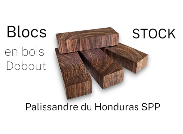 Blocchi di palissandro dell’Honduras (Dalbergia spp.) in legno in piedi