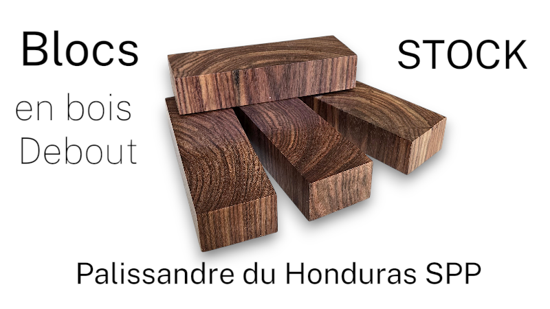 Blocs de Palissandre du Honduras (Dalbergia spp.) en bois debout