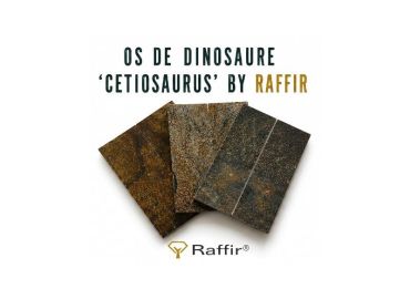 Dinosaur bone handle stabilized - Raffir CETIOSAURUS cetiosaurus oxoniensis