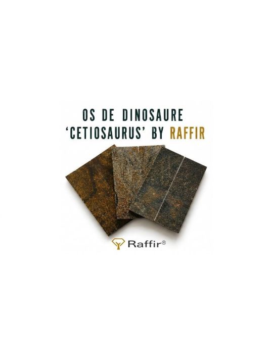 Mango de hueso dinosaurio estabilizado - Raffir CETIOSAURUS cetiosaurus oxoniensis