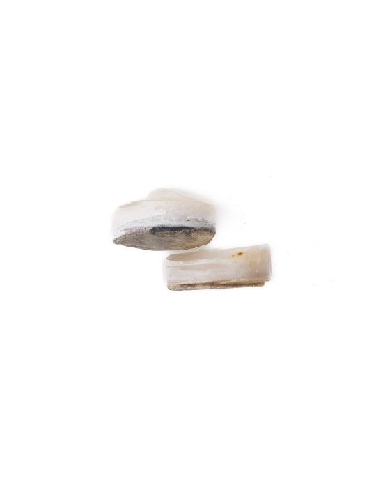 Lot de 2 pions nacre blanche épais