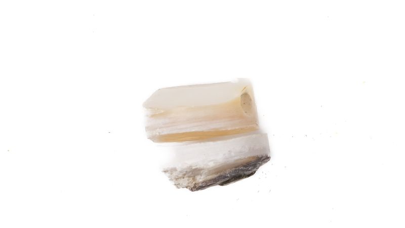 Lot de 2 pions nacre blanche épais