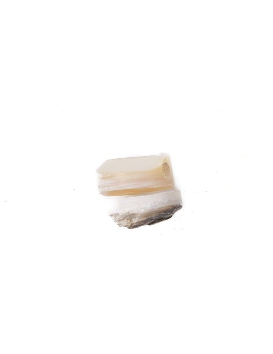 Lot de 2 pions nacre blanche épais