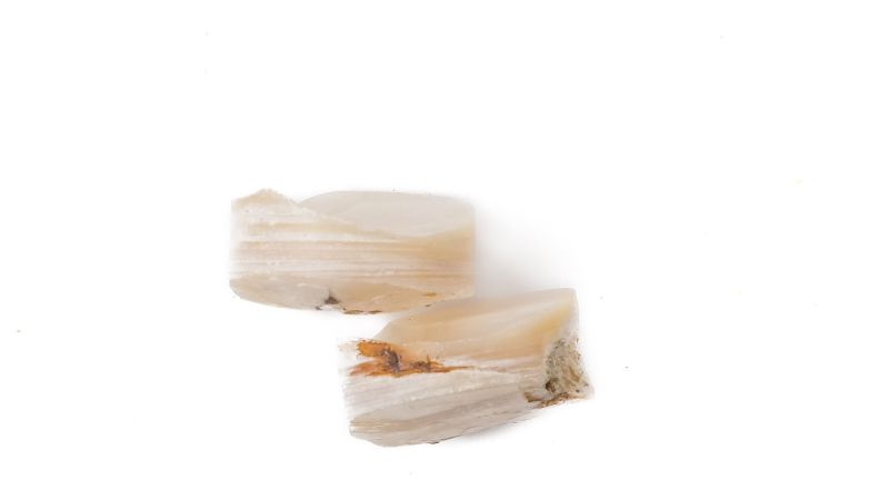 Lot de 2 pions nacre blanche épais