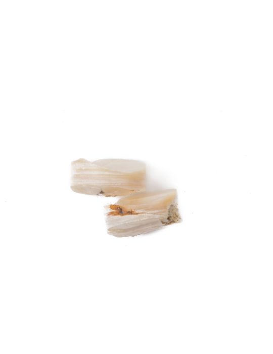 Lot de 2 pions nacre blanche épais