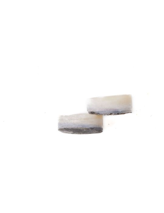 Lot de 2 pions nacre blanche épais