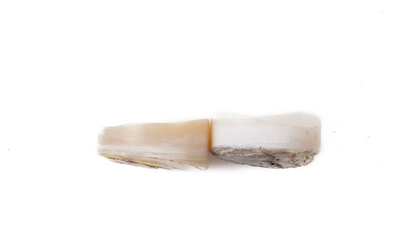 Lot de 2 pions nacre blanche épais