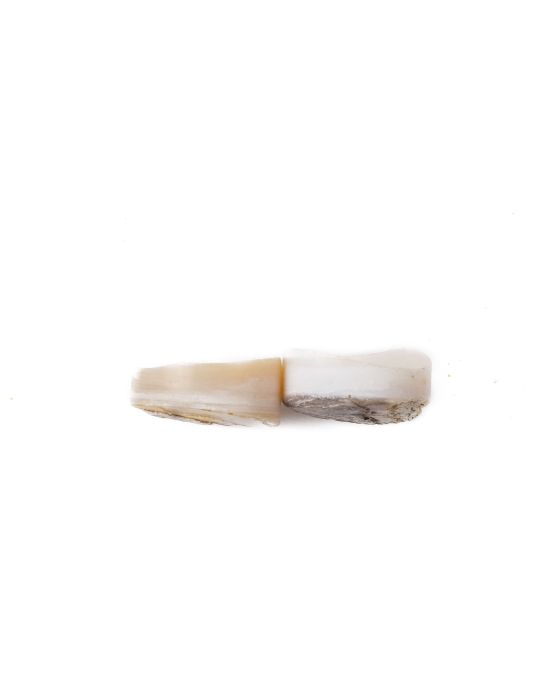 Lot de 2 pions nacre blanche épais