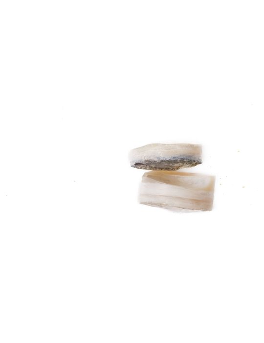 Lot de 2 pions nacre blanche épais