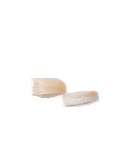 Lot de 2 pions nacre blanche épais