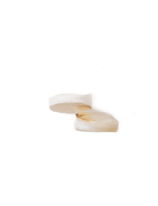 Lot de 2 pions nacre blanche épais