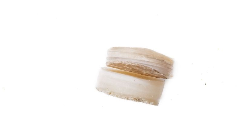 Lot de 2 pions nacre blanche épais