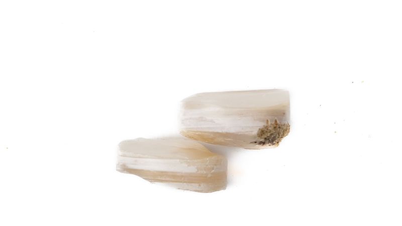 Lot de 2 pions nacre blanche épais