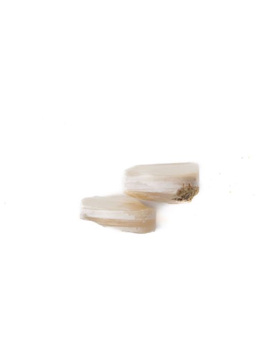 Lot de 2 pions nacre blanche épais