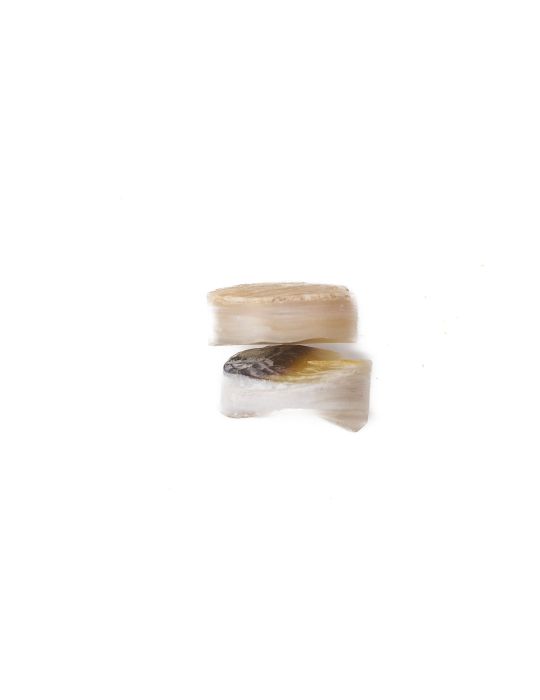 Lot de 2 pions nacre blanche épais