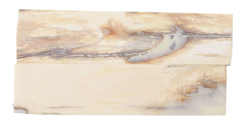 26080053