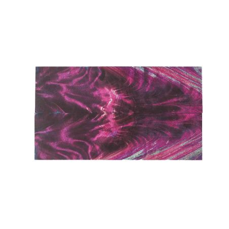 26080198