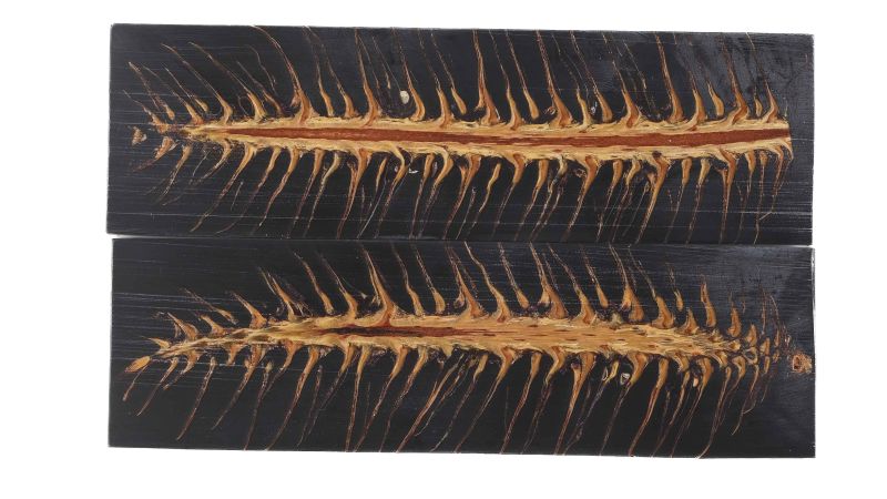 26080037